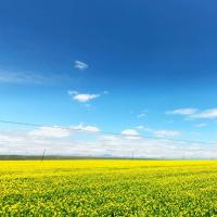 宇宙超级无敌大帅哥